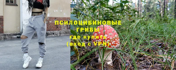 jwh Абаза