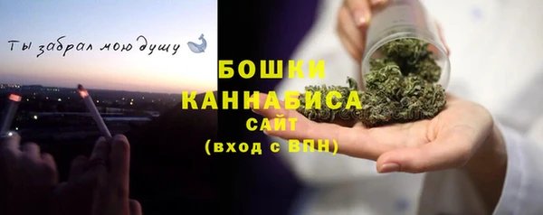 индика Протвино