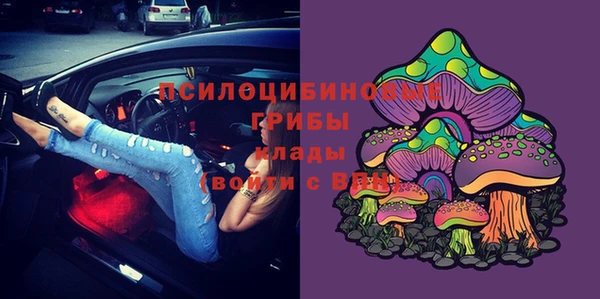 jwh Абаза