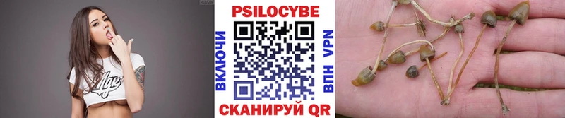 это какой сайт Карпинск Псилоцибиновые грибы Magic Shrooms продажа наркотиков
